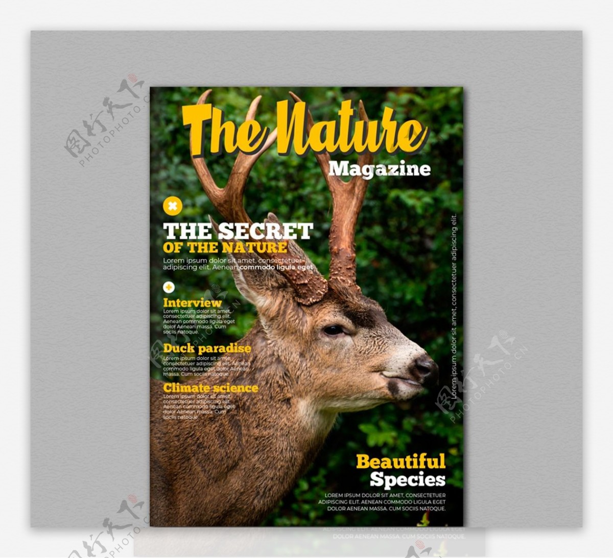 自然杂志封面图片
