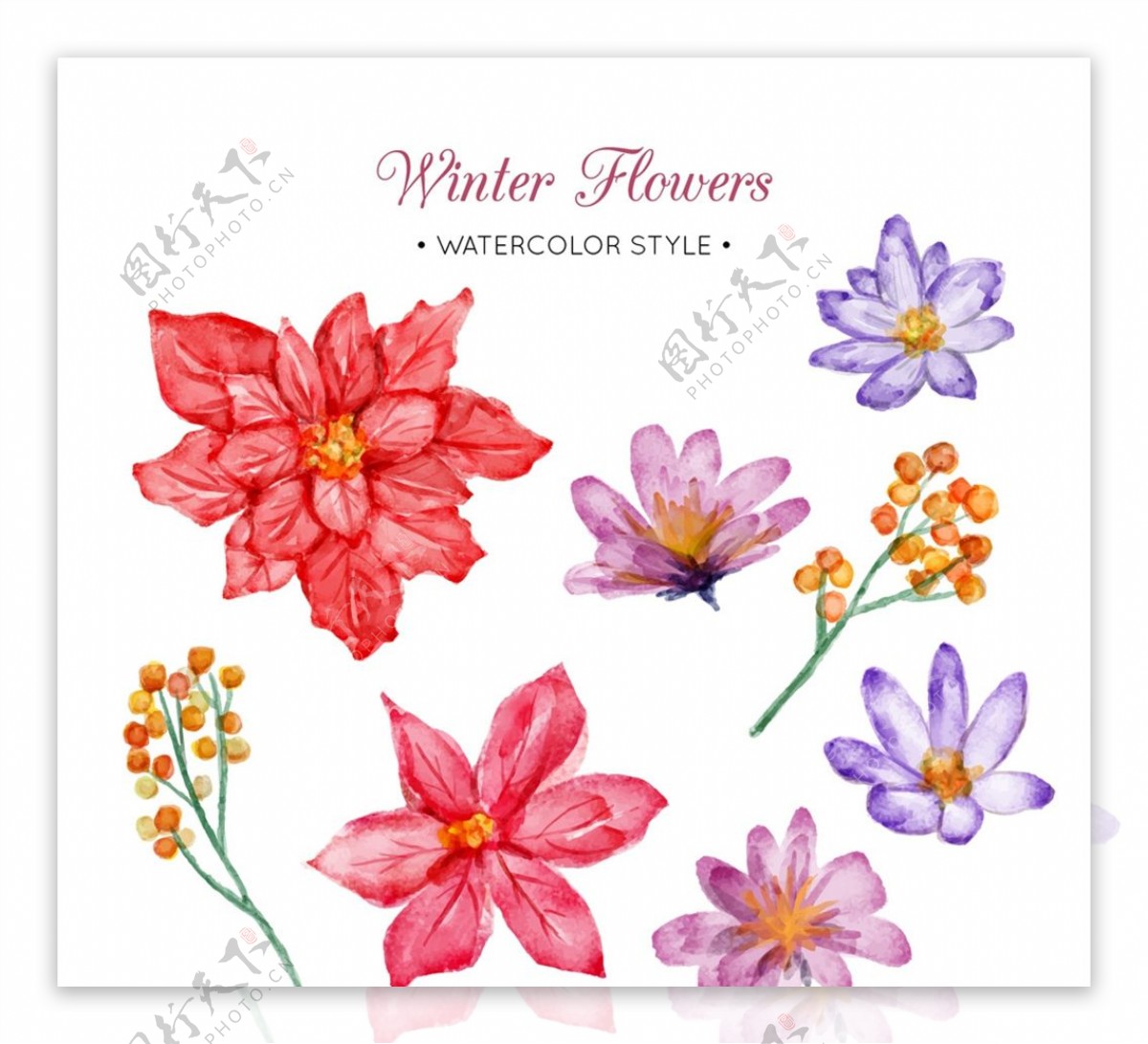 水彩绘冬季花朵图片
