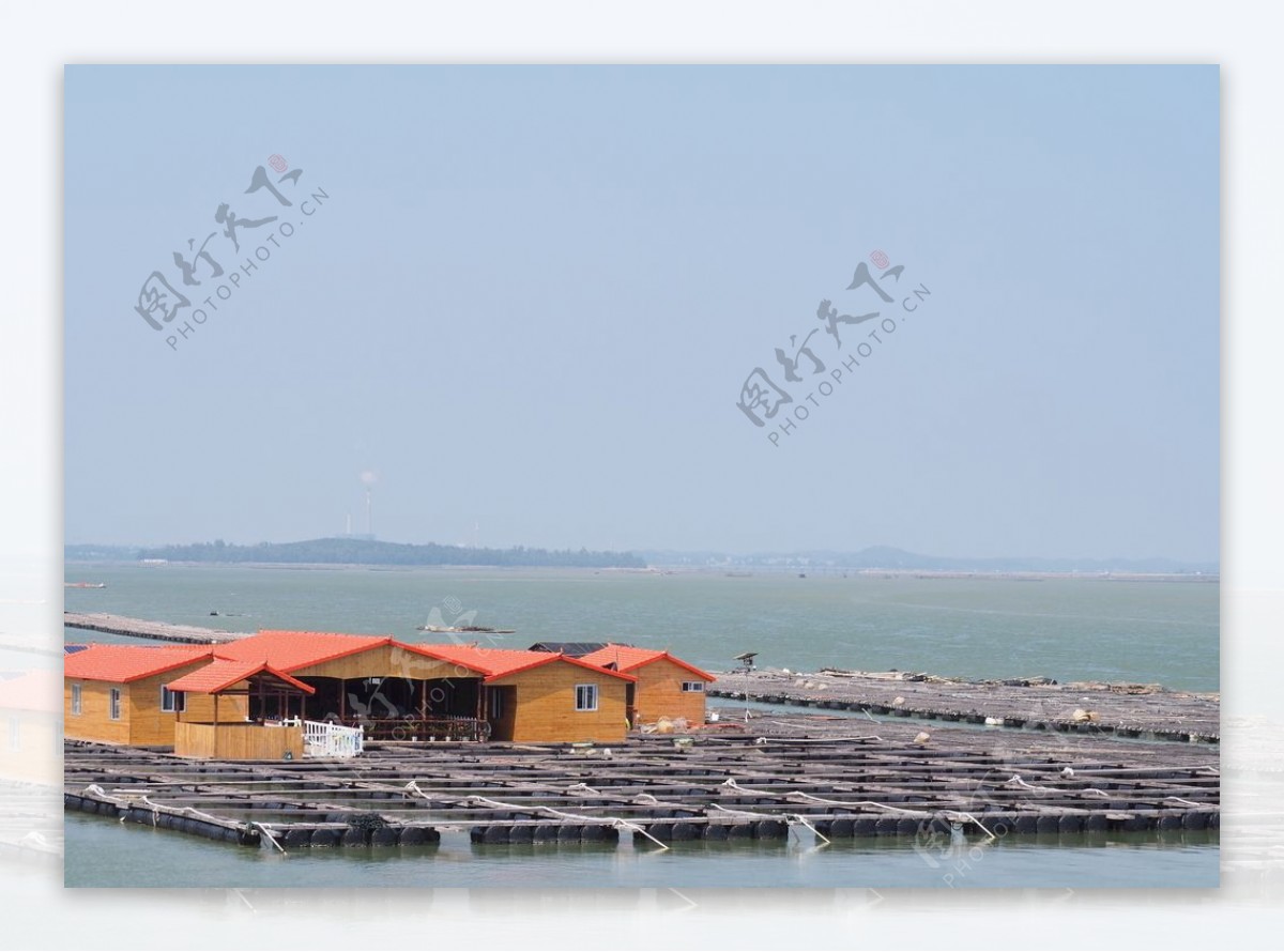 钦州港蚝排图片