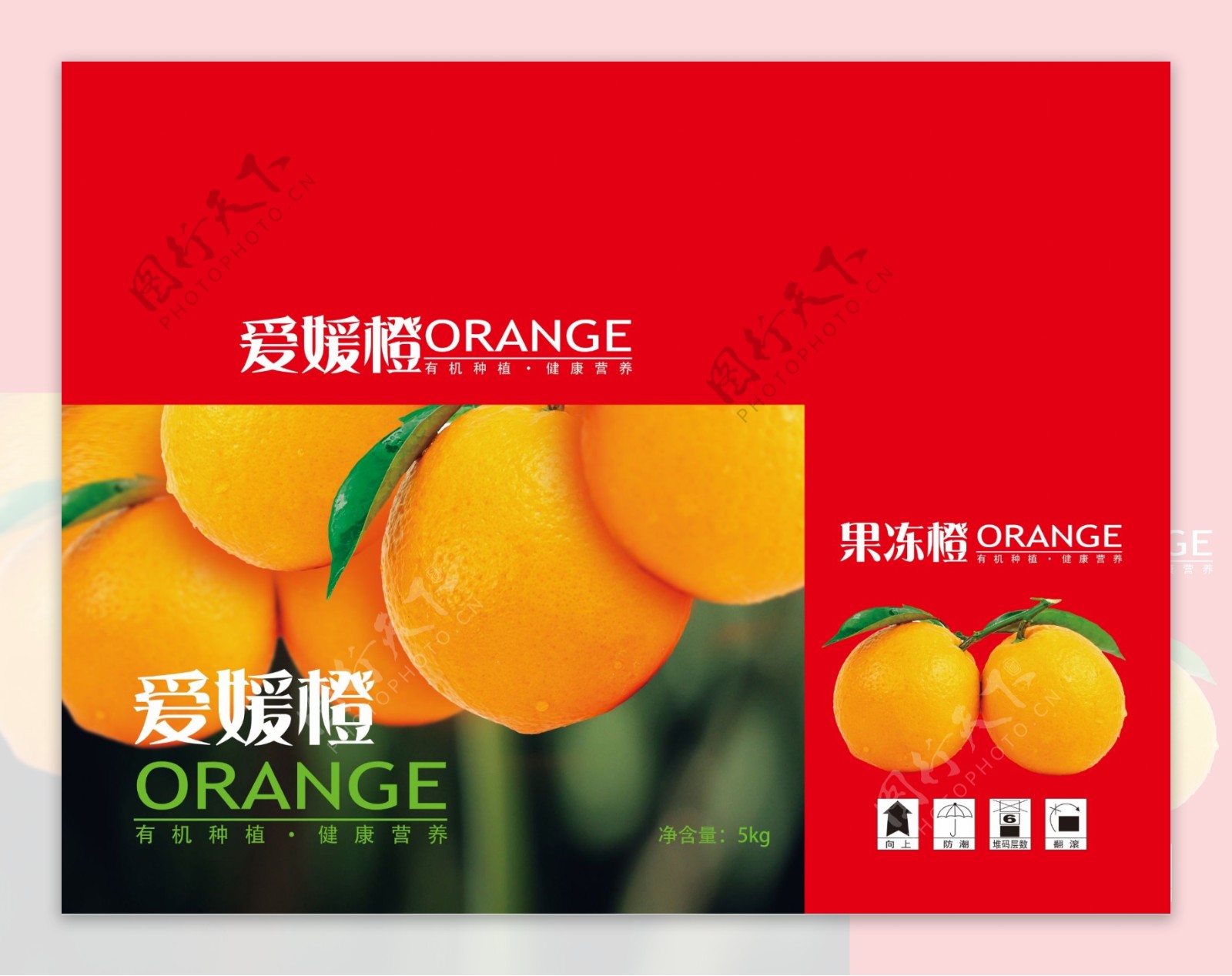 果冻橙橙子手提盒橙子包装图片