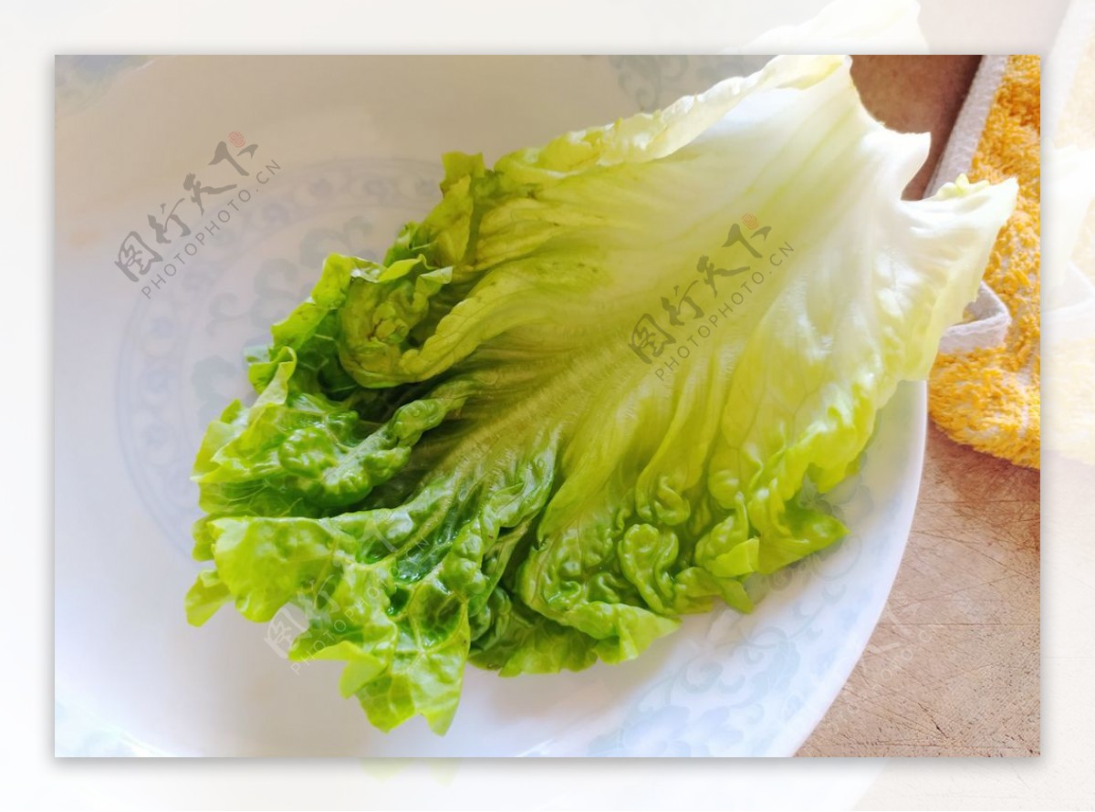 果蔬新鲜莴笋莴苣美食摄影图配图高清摄影大图-千库网