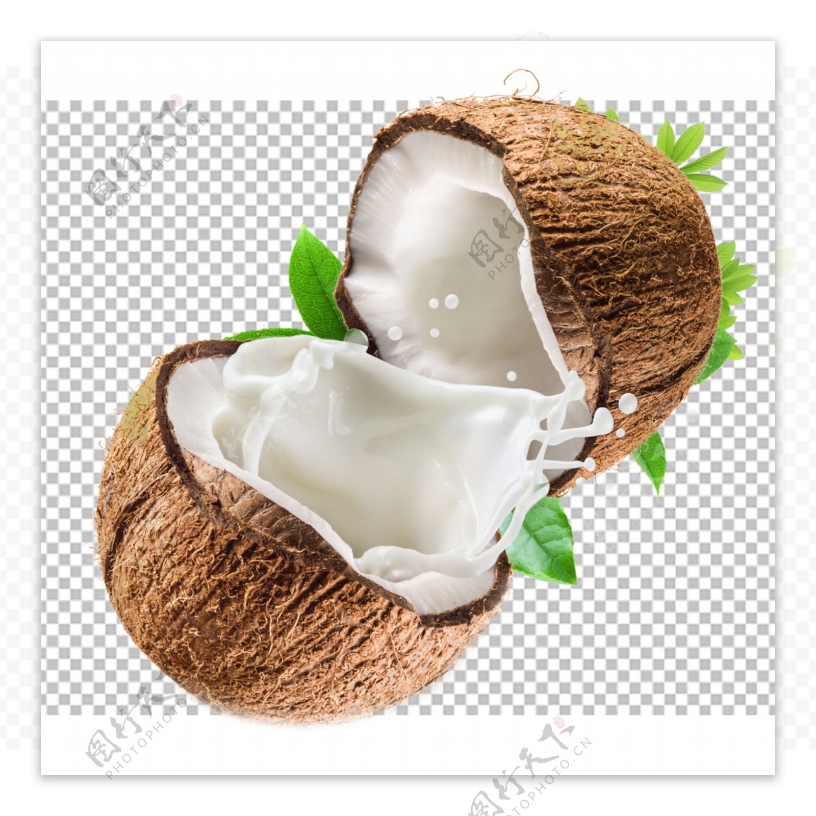椰子图片