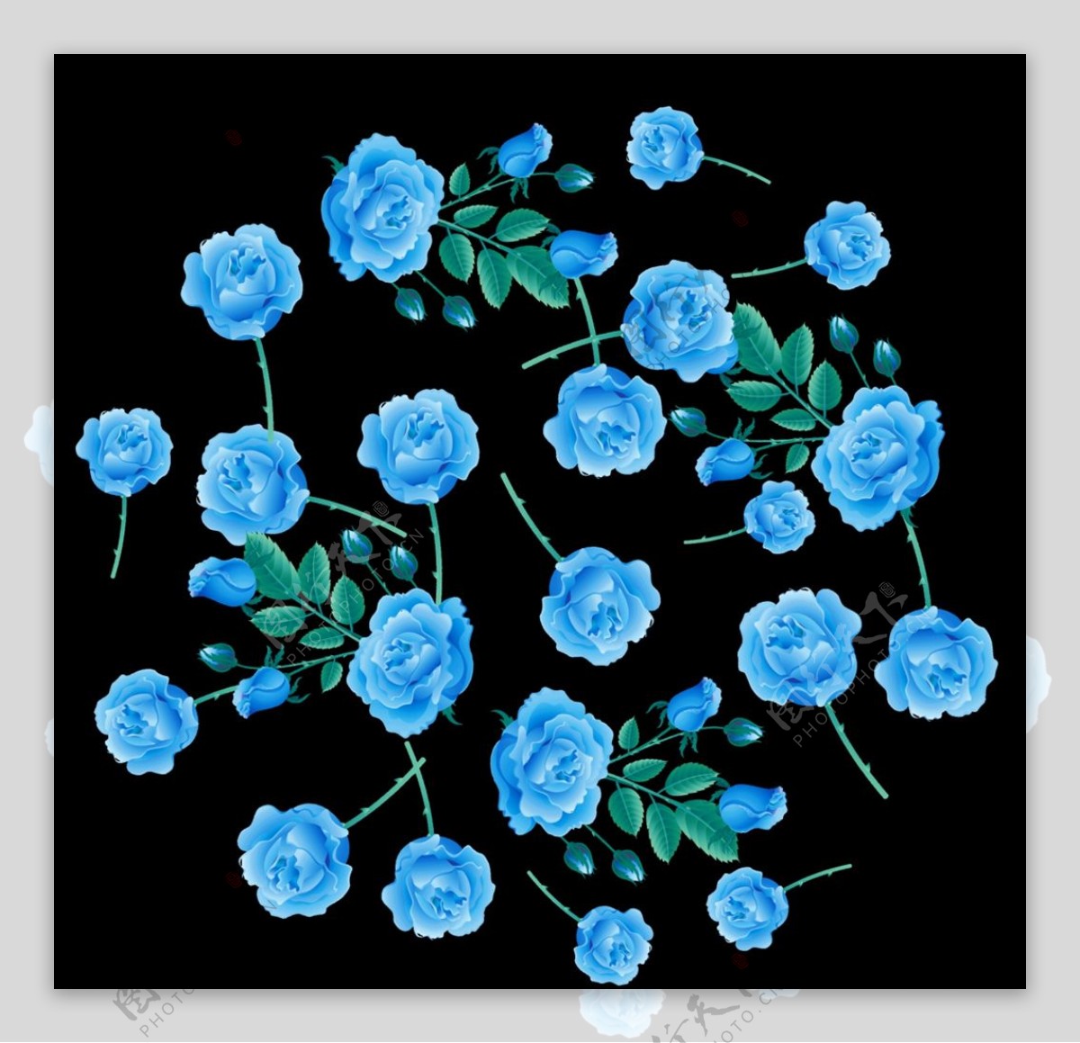花花朵蓝色花图片