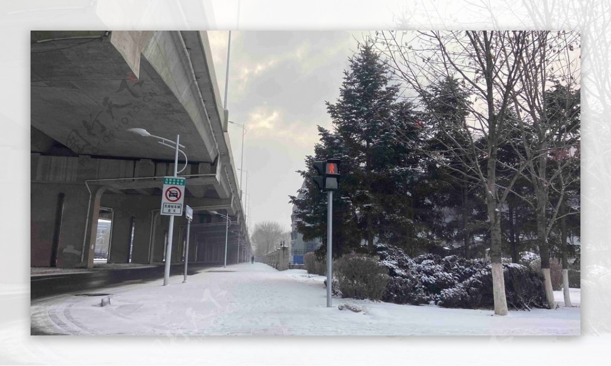 雪天的沈阳街道图片