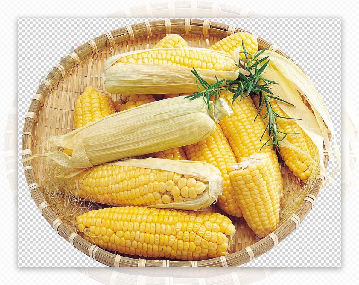 玉米蔬图片