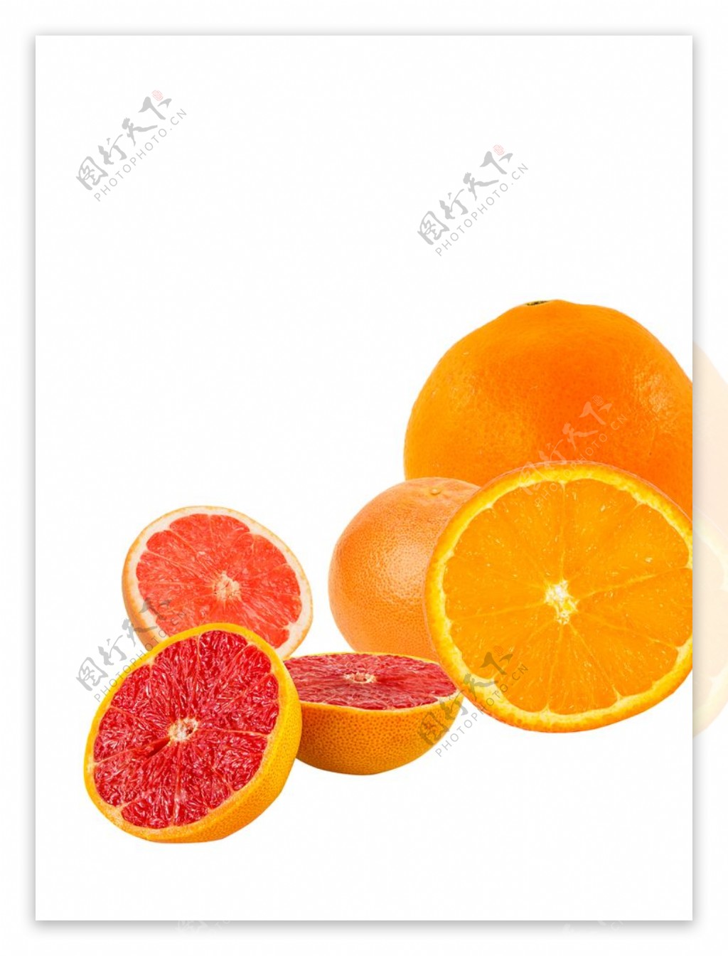 橙子红肉脐橙血橙甜橙图片