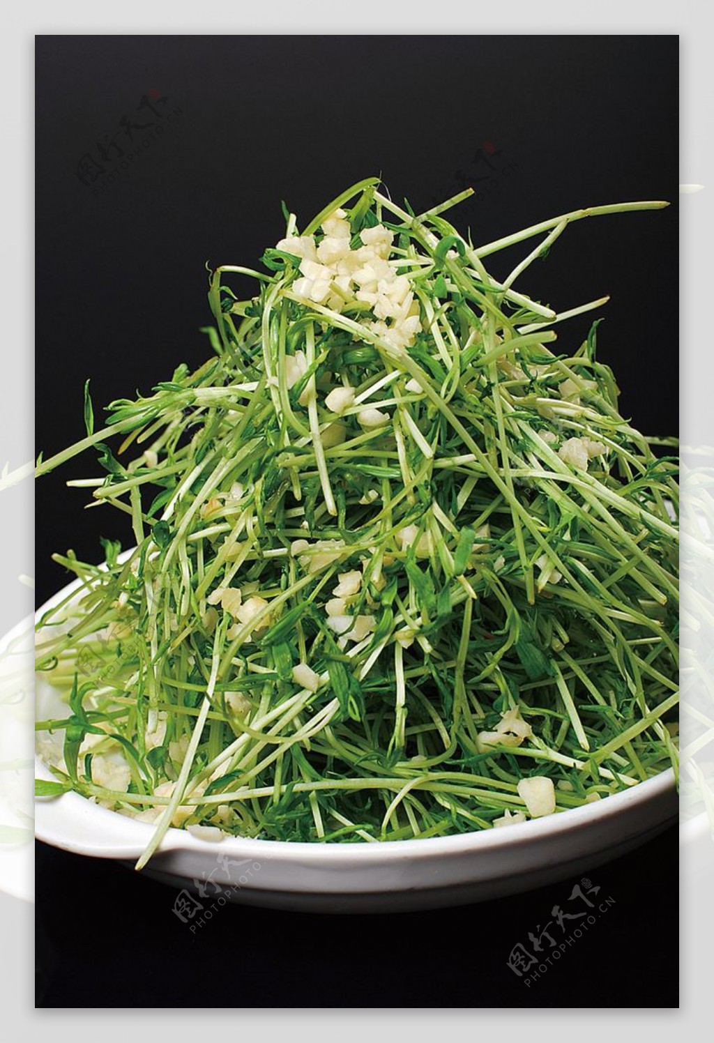 川菜蒜茸长寿菜图片