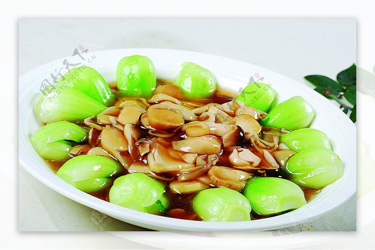 豫菜蚝油草菇图片