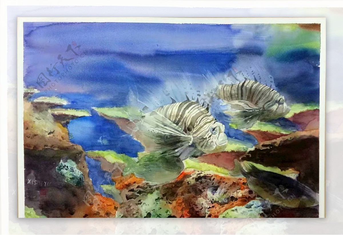 水彩手绘热带鱼图片