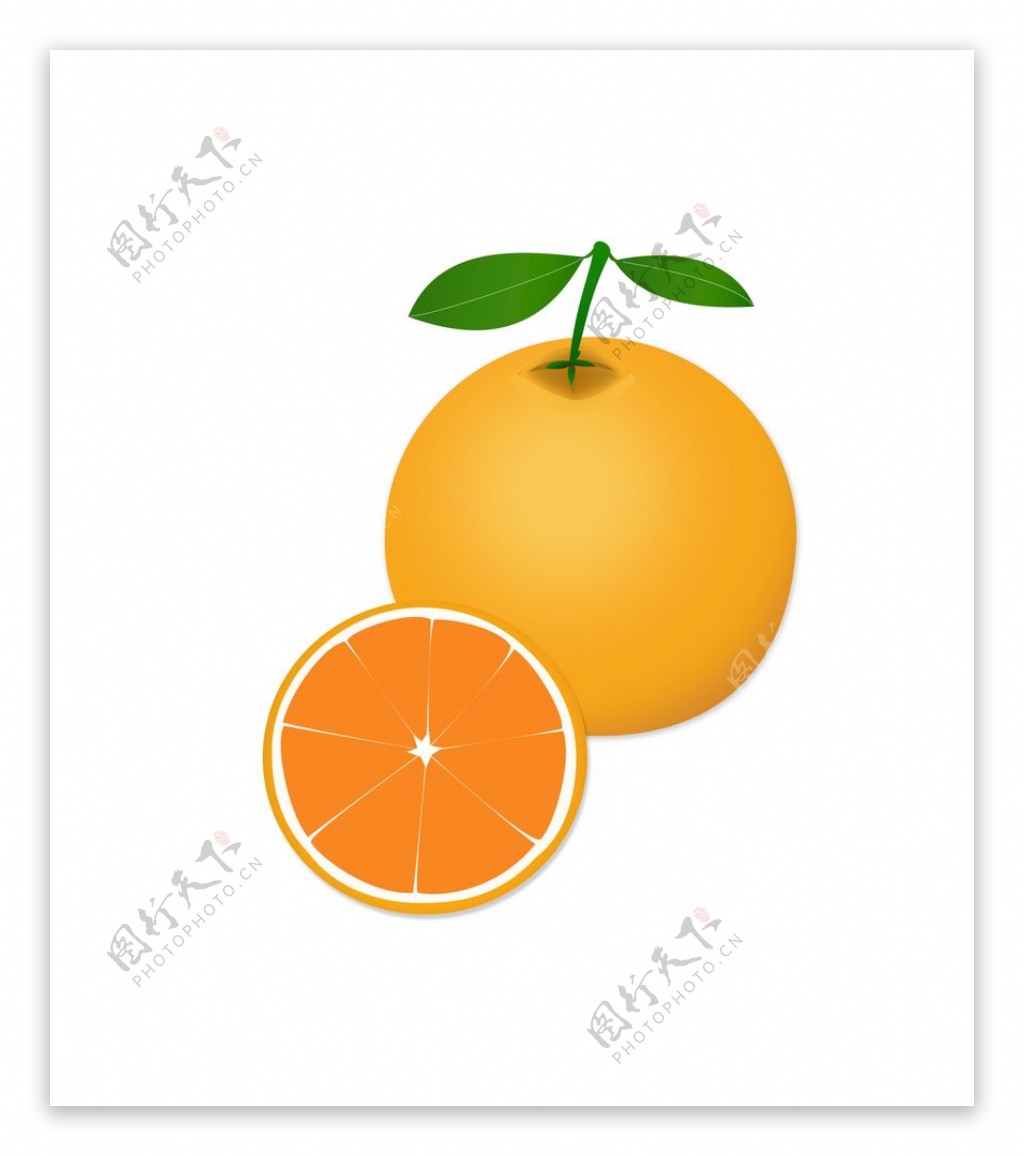 橙子矢量图图片