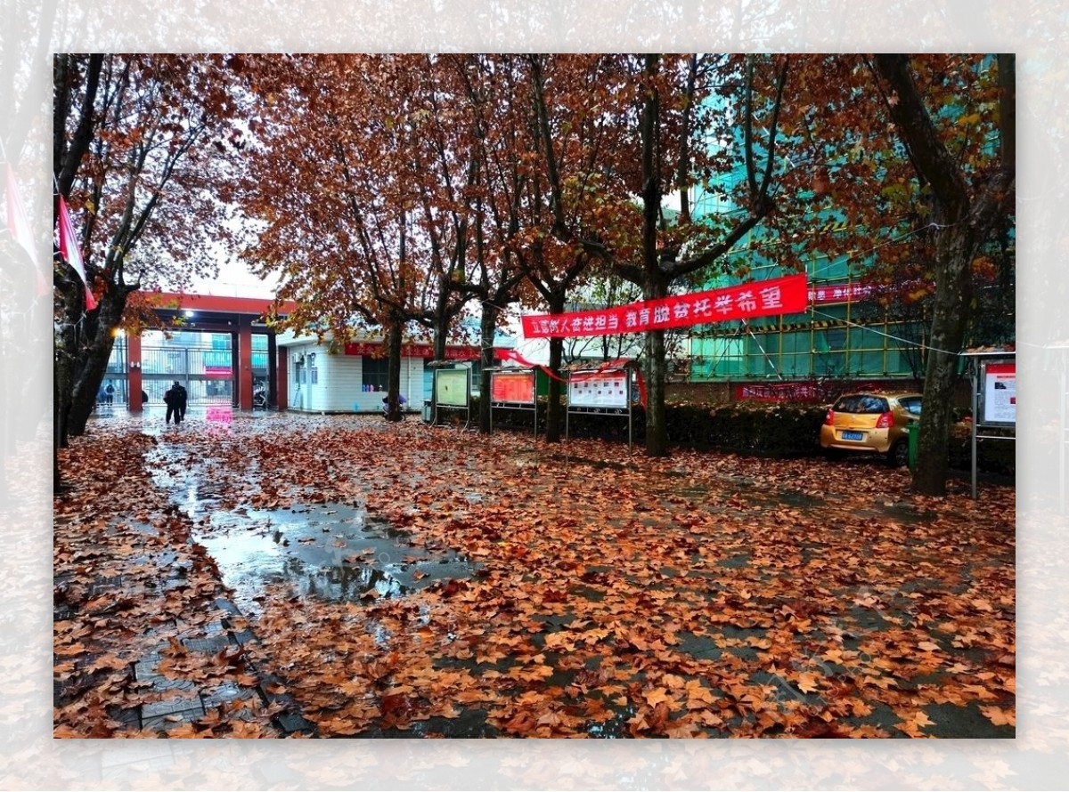 秋风萧瑟的校园风景图片