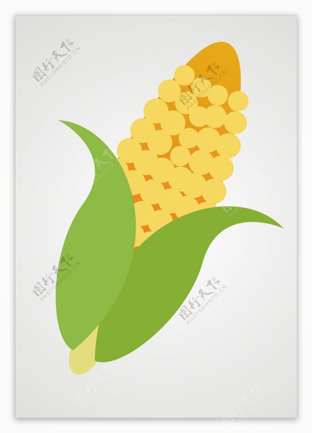 玉米玉米矢量图片