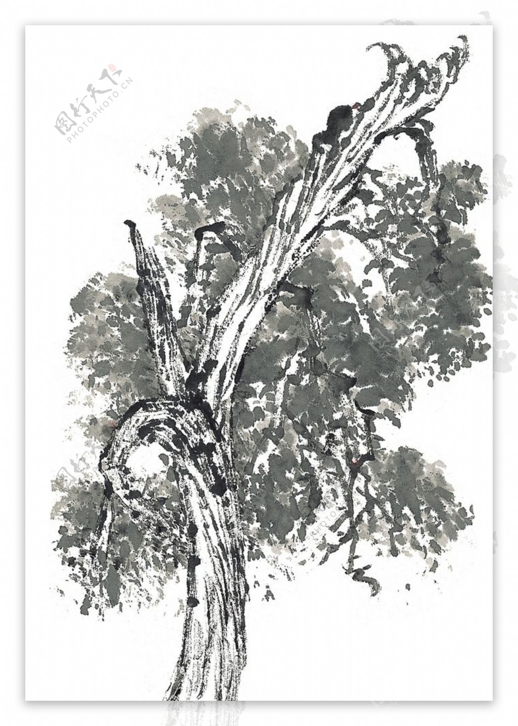 水墨古树图片