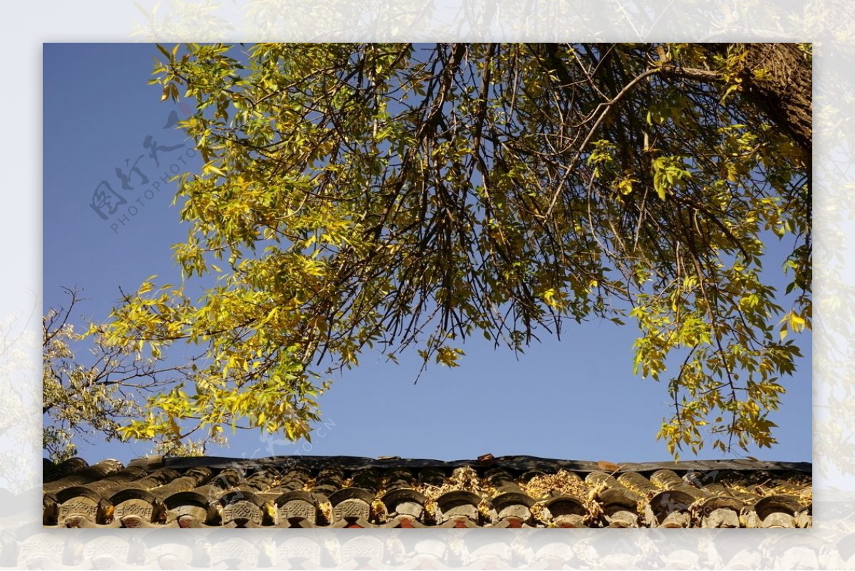 胡同屋顶的秋天图片