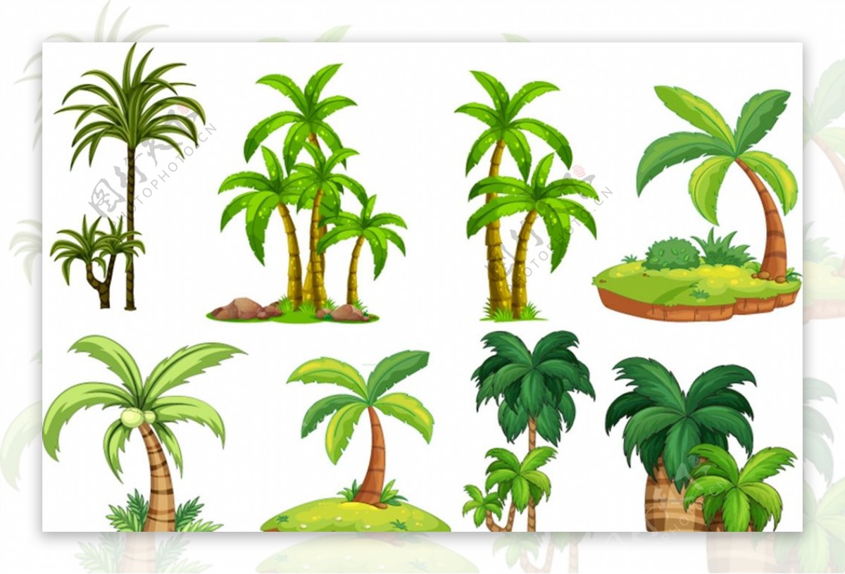 绿色椰子树图片
