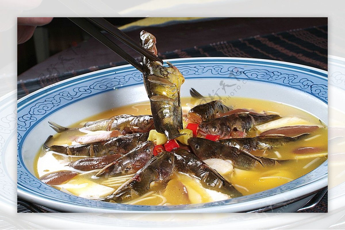 川菜河茴香三角蜂图片