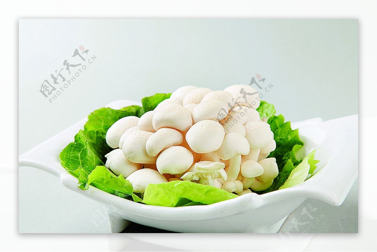 徽菜白玉菇图片