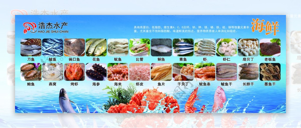 海鲜水产品大全图片
