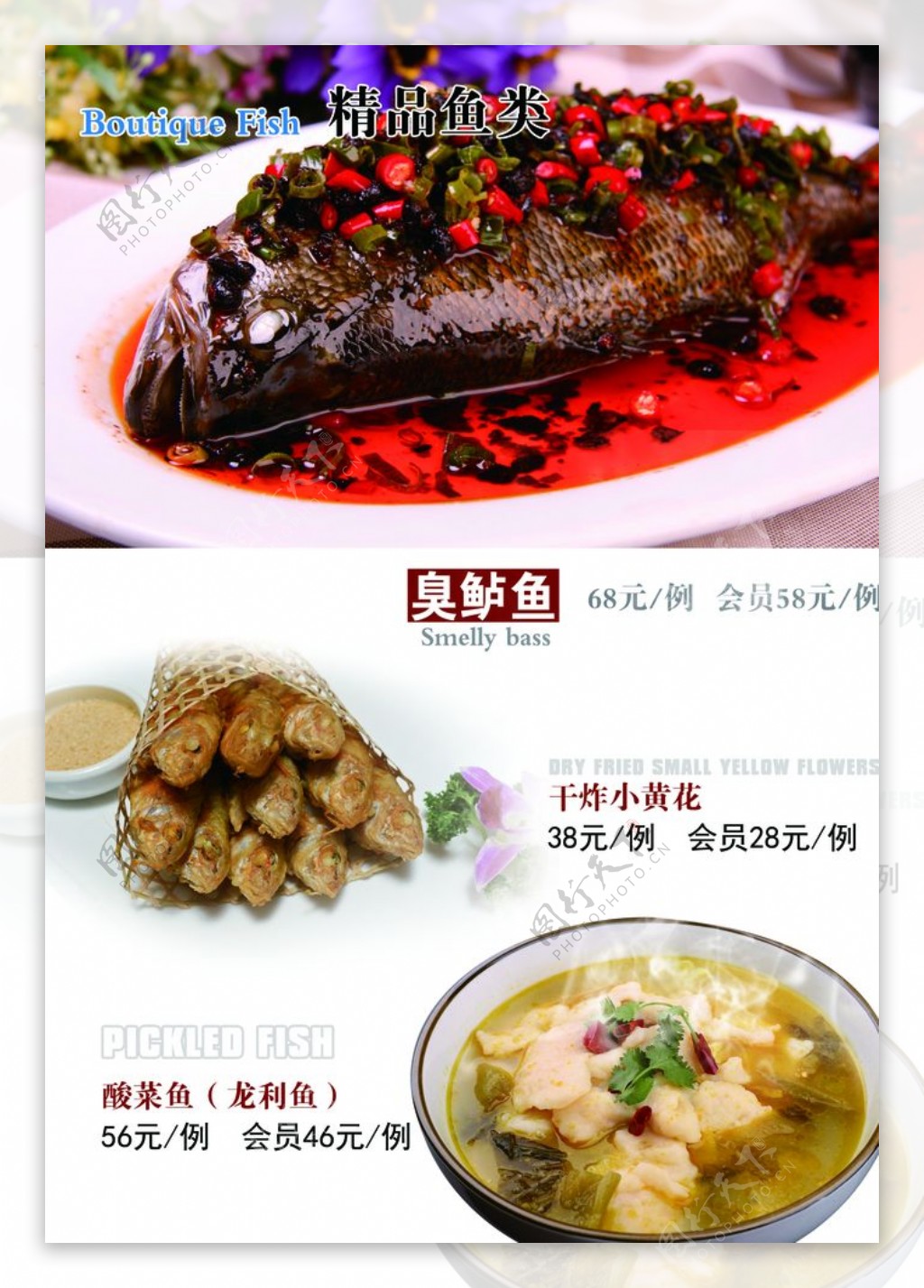 鱼类菜简约小清新菜谱菜单单页图片
