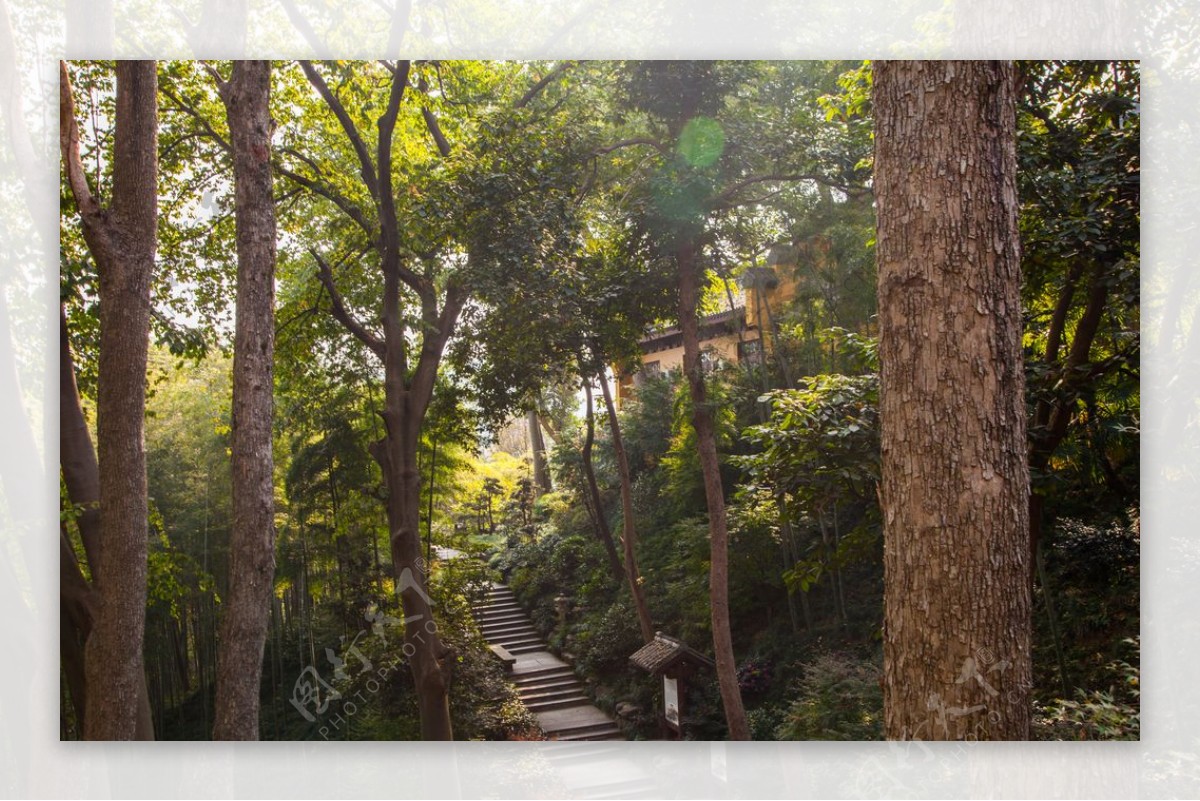 永福禅寺图片