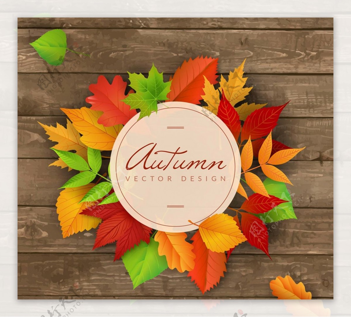 秋季叶子装饰标签图片