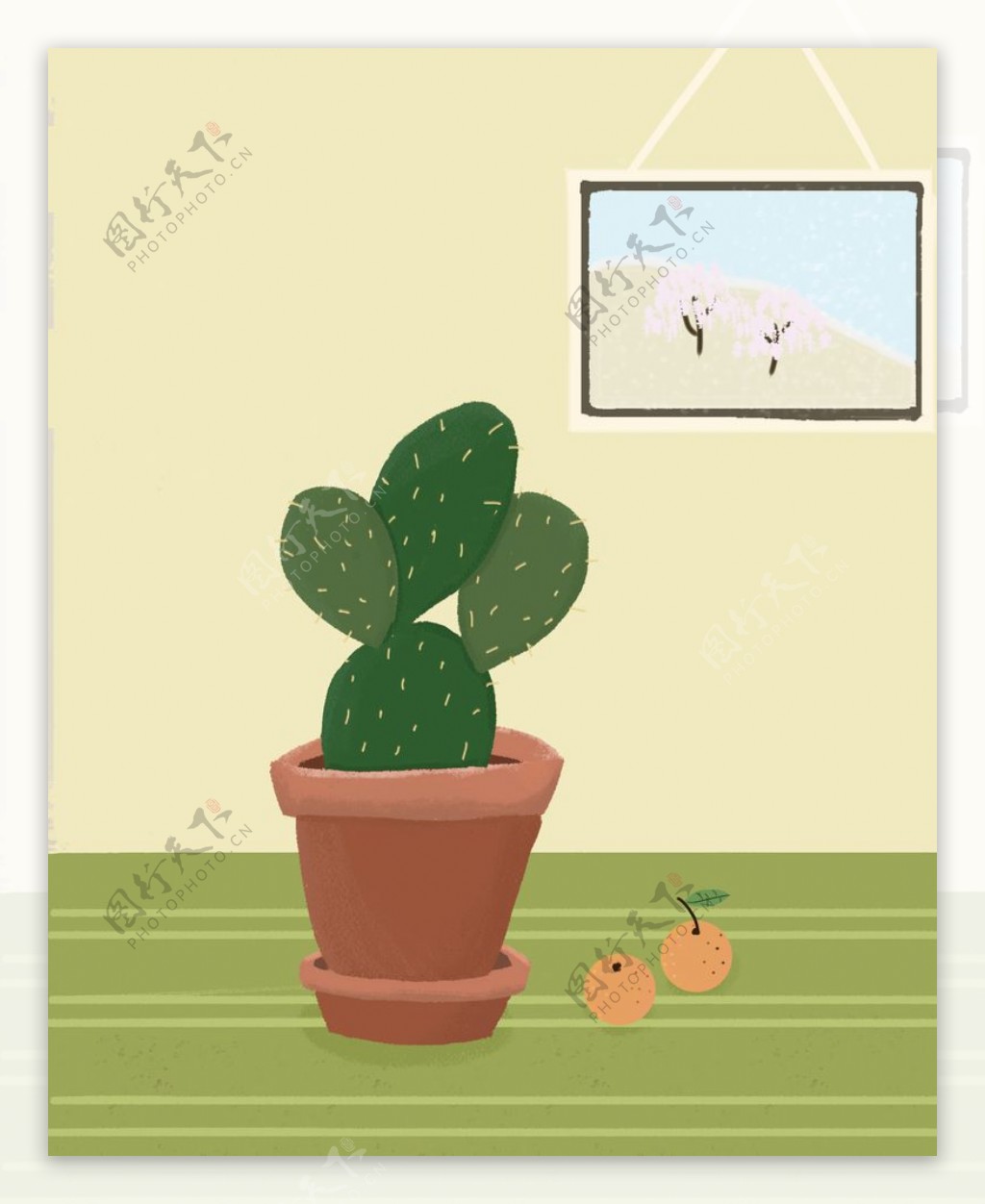 仙人掌植物插画图片