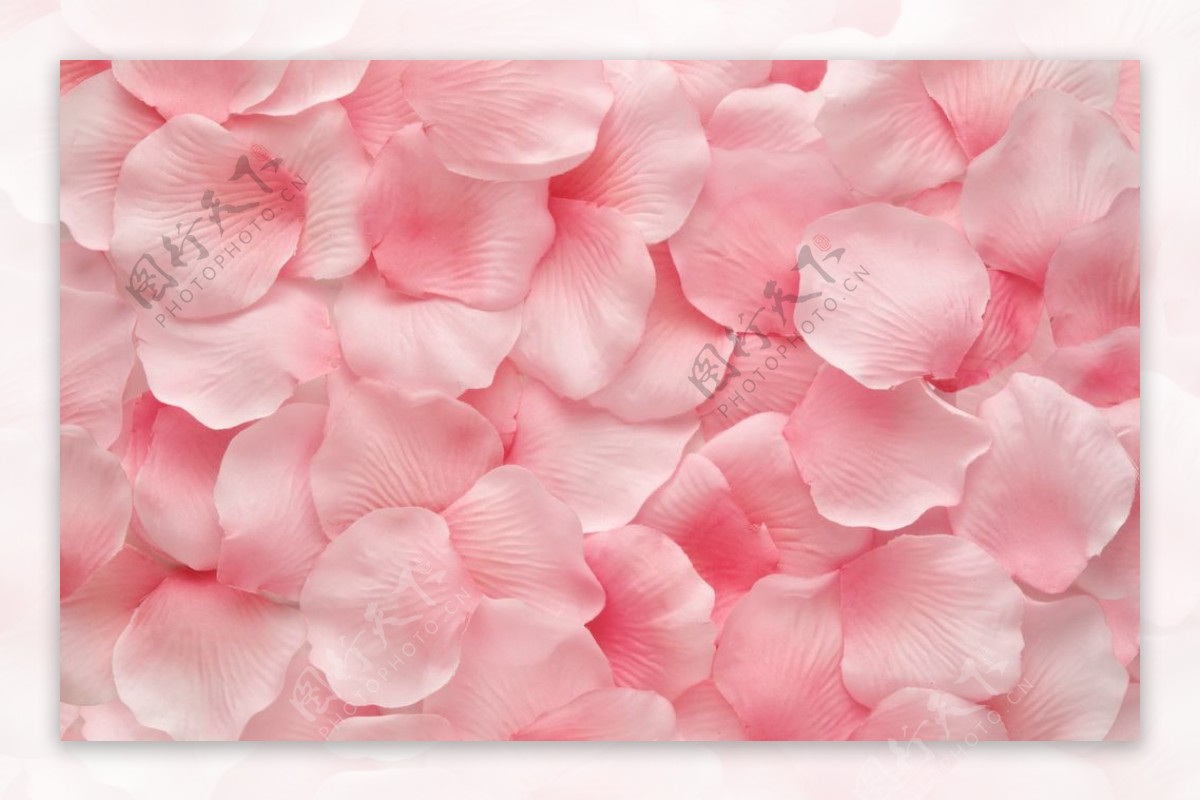 玫瑰花瓣牡丹花瓣漂浮图片素材免费下载 - 觅知网