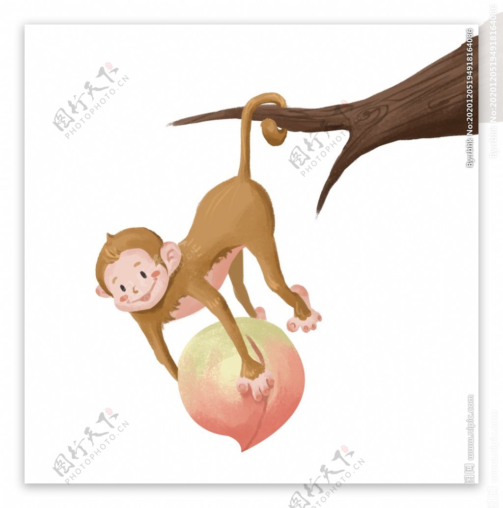 倒挂疏枝抱桃子的猴子插画图片