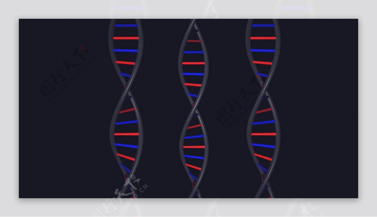C4D模型动画DNA模型图片