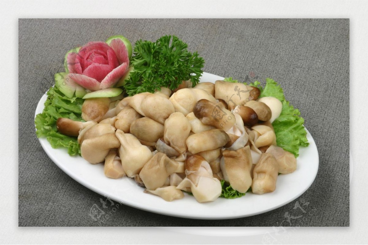 草菇图片和营养价值,草菇图片大全,白草菇图片(第12页)_大山谷图库