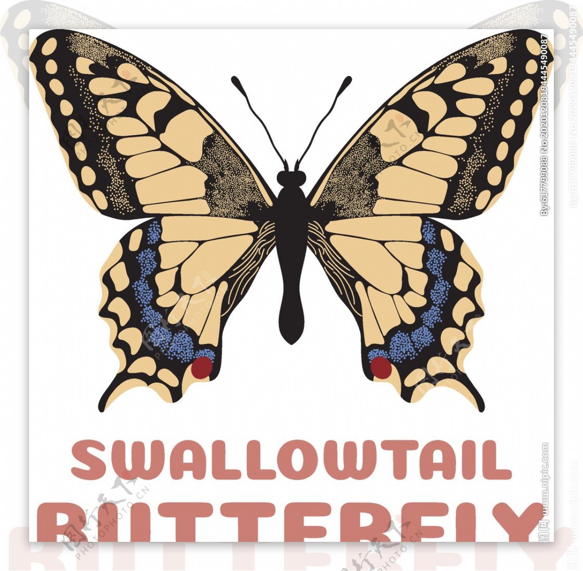 蝴蝶昆虫T恤图案排版设计图片