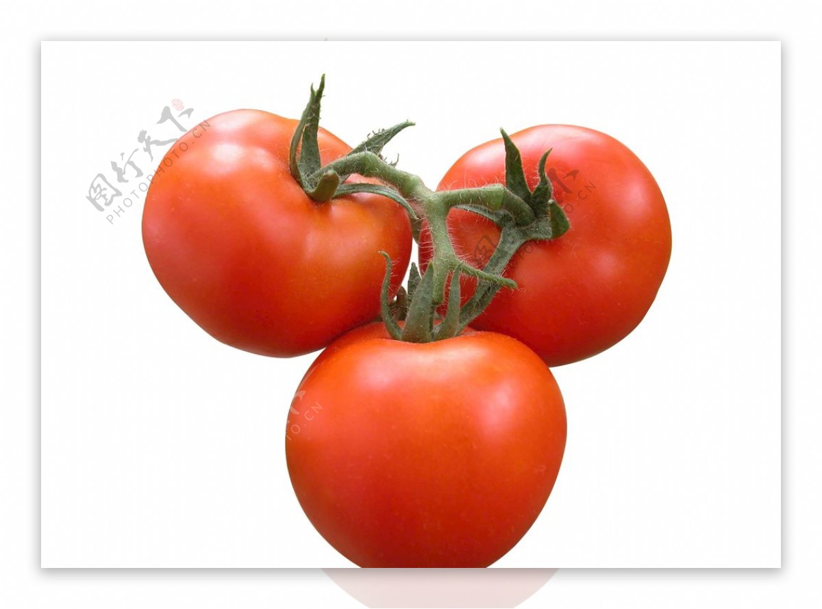 西红柿番茄免抠图图片