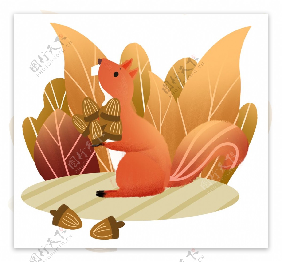 卡通松鼠插画图片素材-编号40095229-图行天下