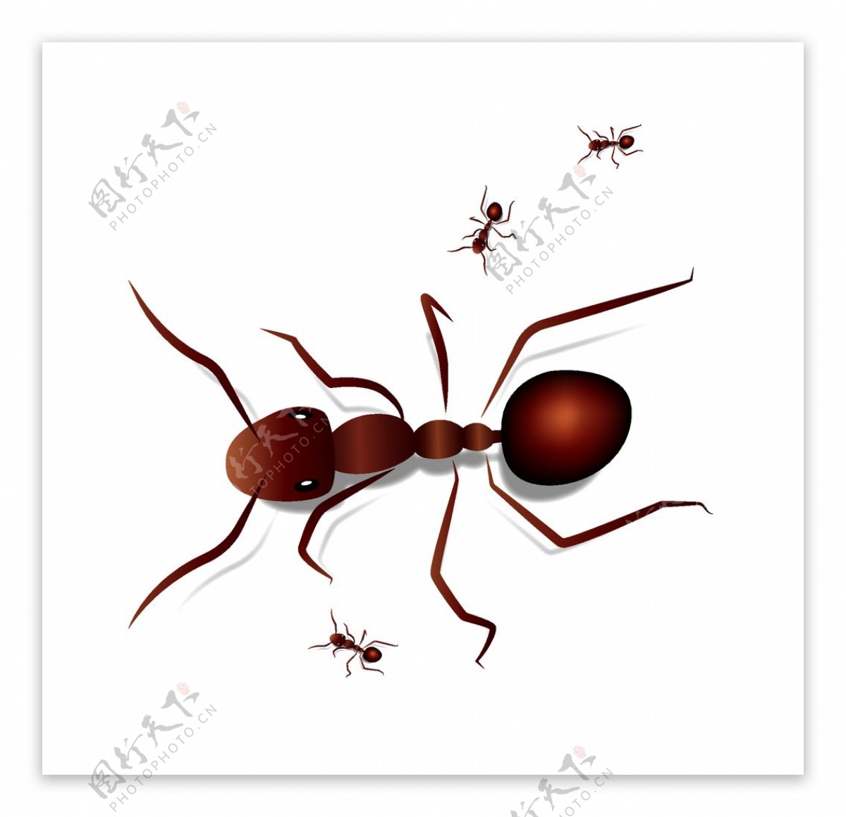 矢量卡通蚂蚁图片