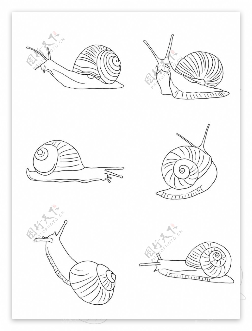 蜗牛线条插画图片
