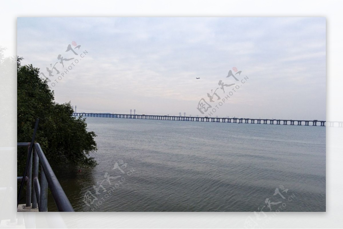 大海大桥图片
