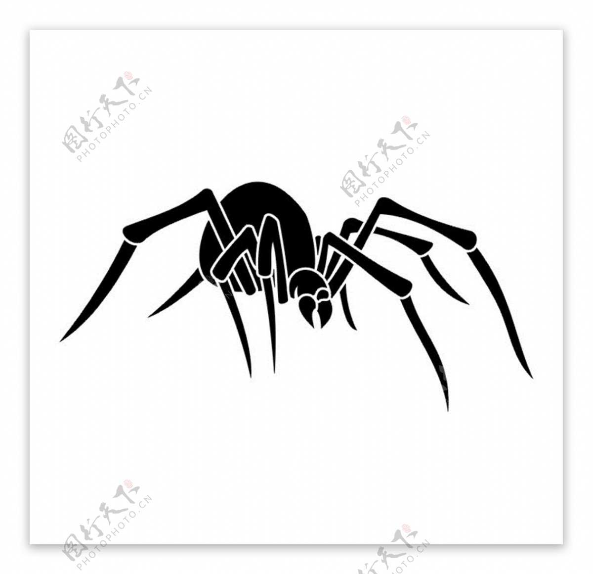 蜘蛛图案图片