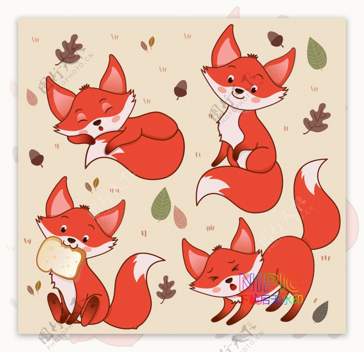 小狐狸狐狸背景火狐狸图片卡通